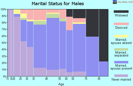 Runnemede marital status for males