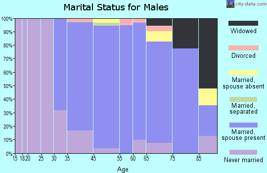 Saddle River marital status for males