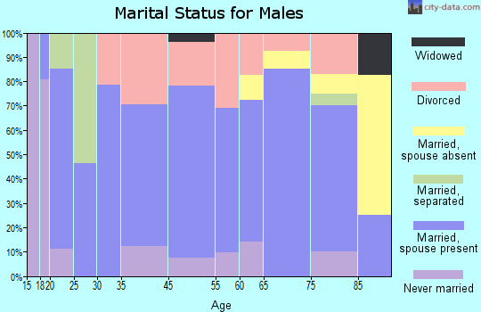 Mountain View marital status for males