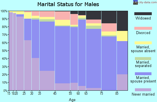 Somerset marital status for males