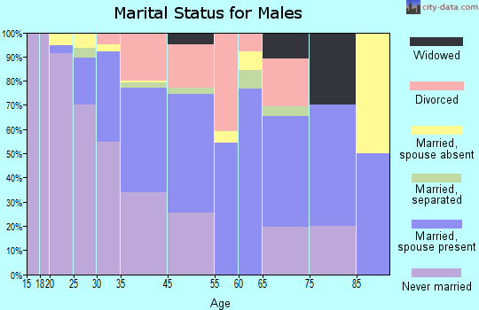 South Belmar marital status for males