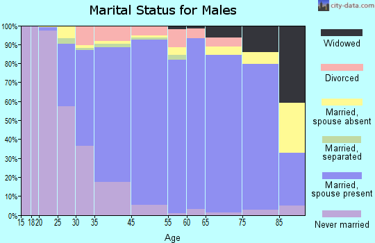 South Plainfield marital status for males