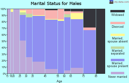 Spotswood marital status for males