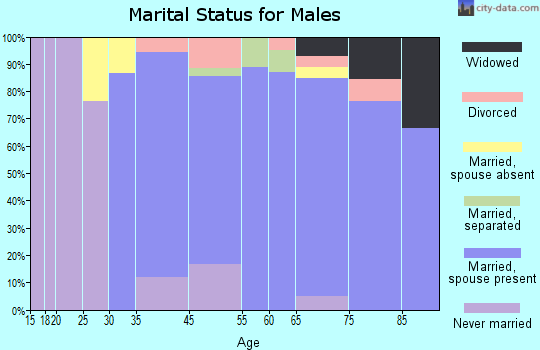 Spring Lake marital status for males