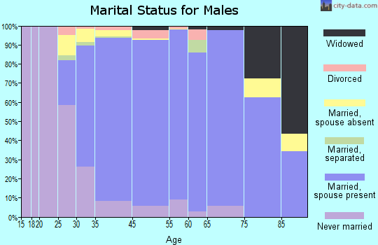 Succasunna-Kenvil marital status for males