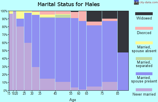 Summit marital status for males