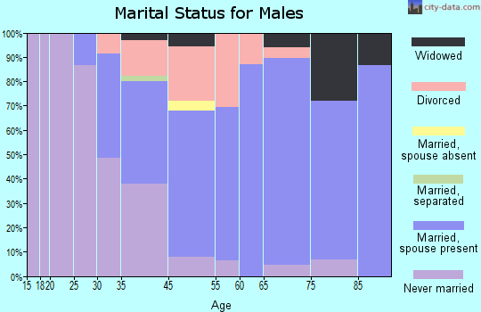 Surf City marital status for males