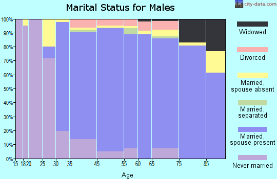 Tenafly marital status for males