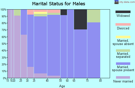 Turnersville marital status for males