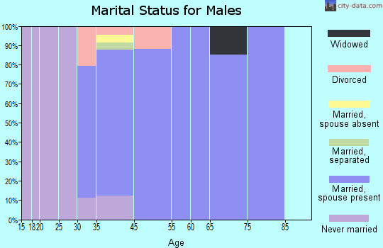 Vernon Valley marital status for males