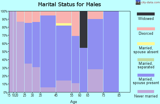 West Belmar marital status for males