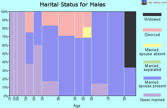 West Wildwood marital status for males