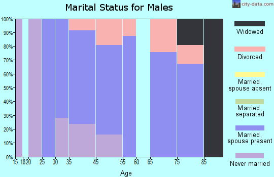 White House Station marital status for males