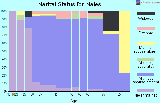 White Meadow Lake marital status for males