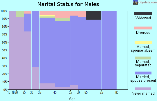 Woodbury Heights marital status for males