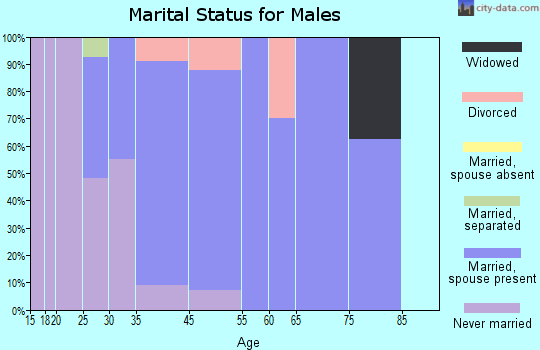 Algodones marital status for males