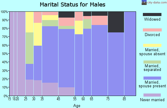 Angel Fire marital status for males