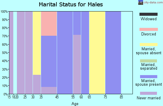 Brimhall Nizhoni marital status for males