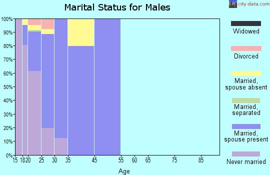 Cannon AFB marital status for males