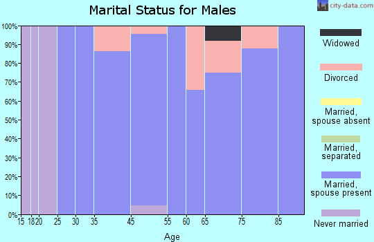 Carlsbad North marital status for males