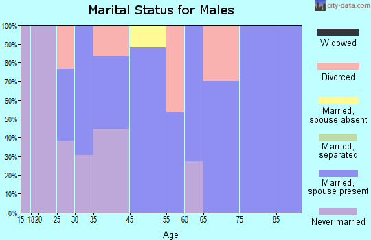 Chamisal marital status for males