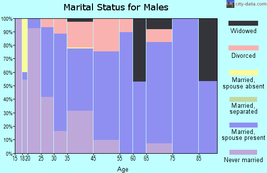 Chimayo marital status for males