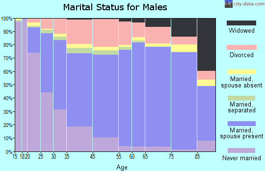 North Little Rock marital status for males