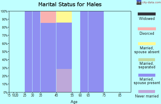 Des Moines marital status for males