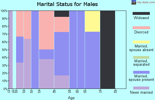 Eagle Nest marital status for males
