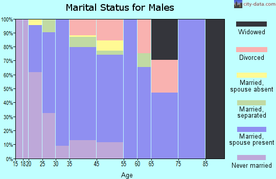 El Cerro-Monterey Park marital status for males