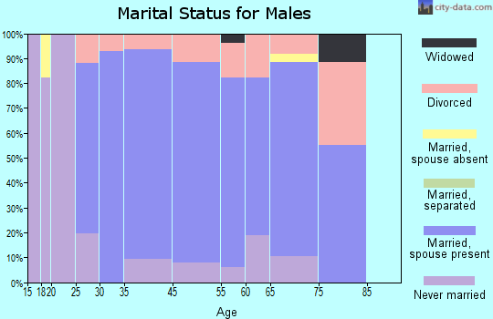 Eldorado at Santa Fe marital status for males