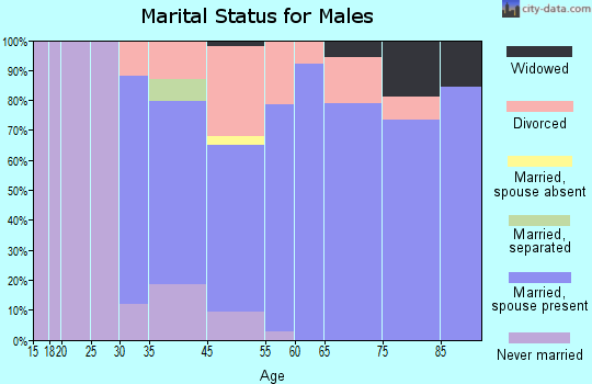 Elephant Butte marital status for males