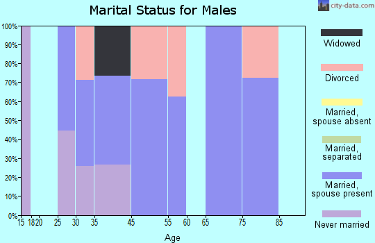 El Valle de Arroyo Seco marital status for males