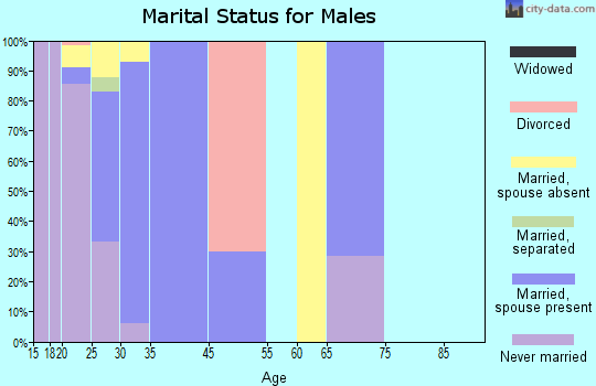 Holloman AFB marital status for males