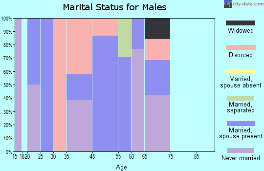 Jemez Springs marital status for males