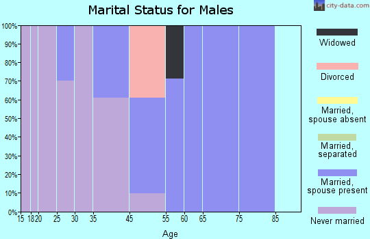 Laguna marital status for males
