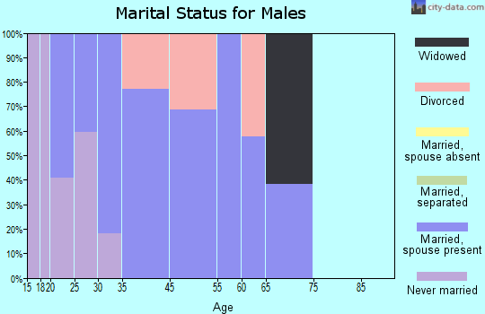 La Puebla marital status for males