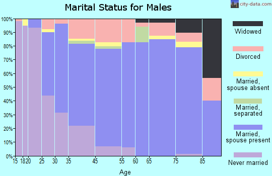 Los Alamos marital status for males