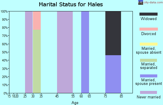 Los Cerrillos marital status for males