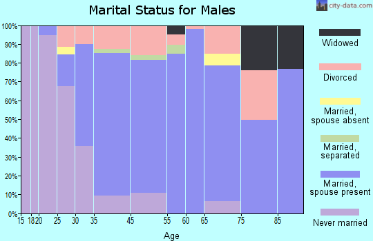 Los Ranchos de Albuquerque marital status for males
