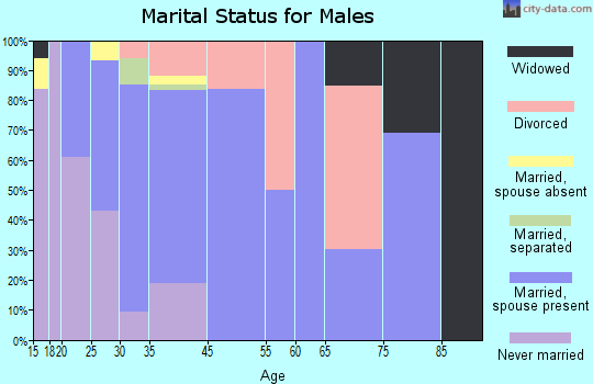 Meadow Lake marital status for males