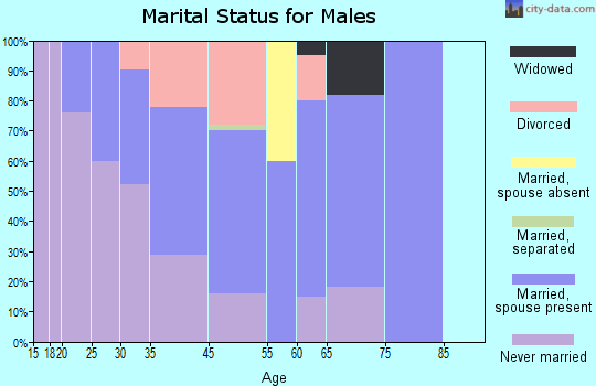 Mescalero marital status for males