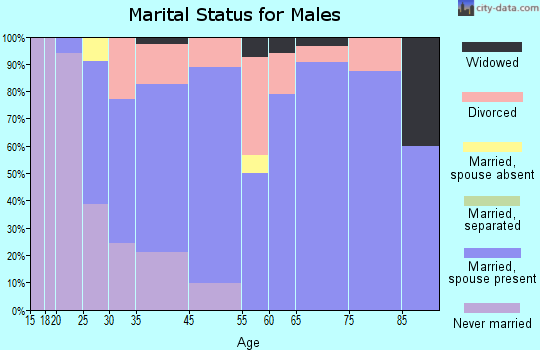 Mesilla marital status for males