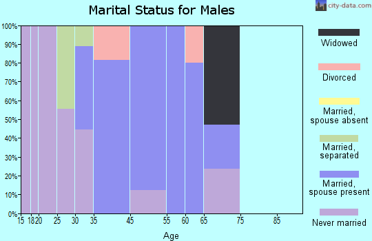 Mesita marital status for males