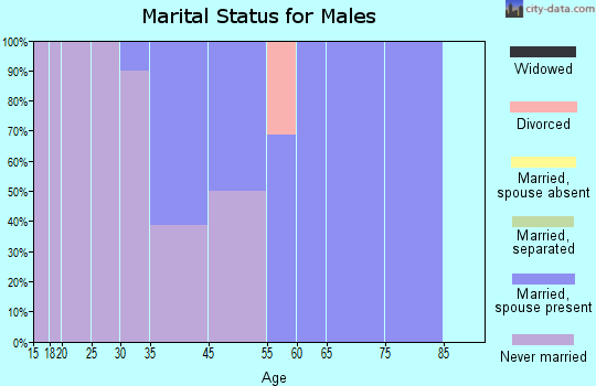 Nenahnezad marital status for males
