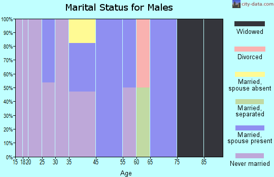 North Acomita Village marital status for males