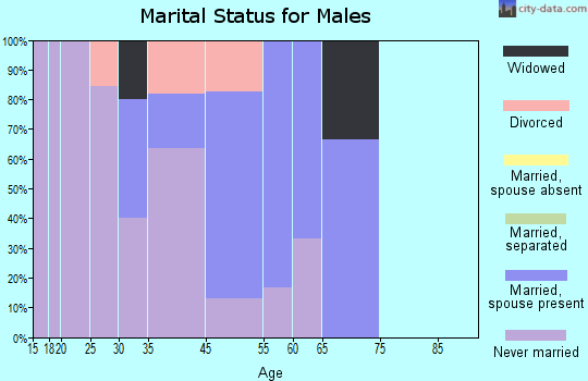Pueblo of Sandia Village marital status for males