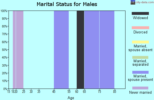 Pueblo Pintado marital status for males