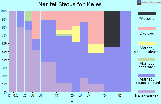 Ranchos de Taos marital status for males