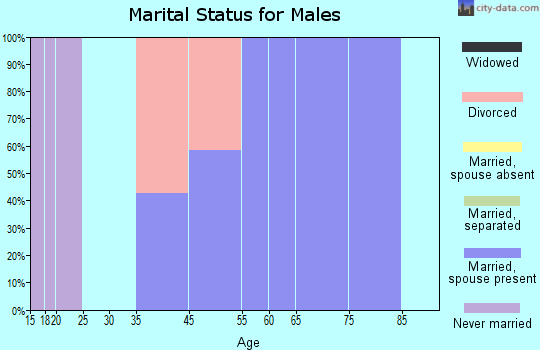 Rincon marital status for males